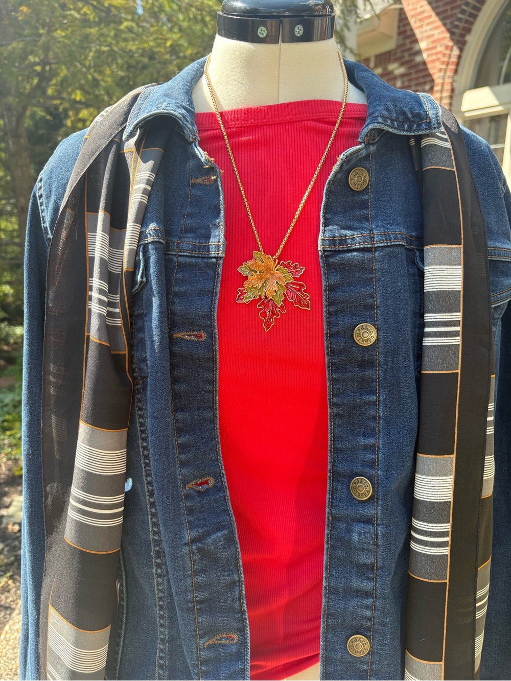 New! Denim & Co. jean jacket! So good! NWT shirt w/new scarf and necklace! M/L